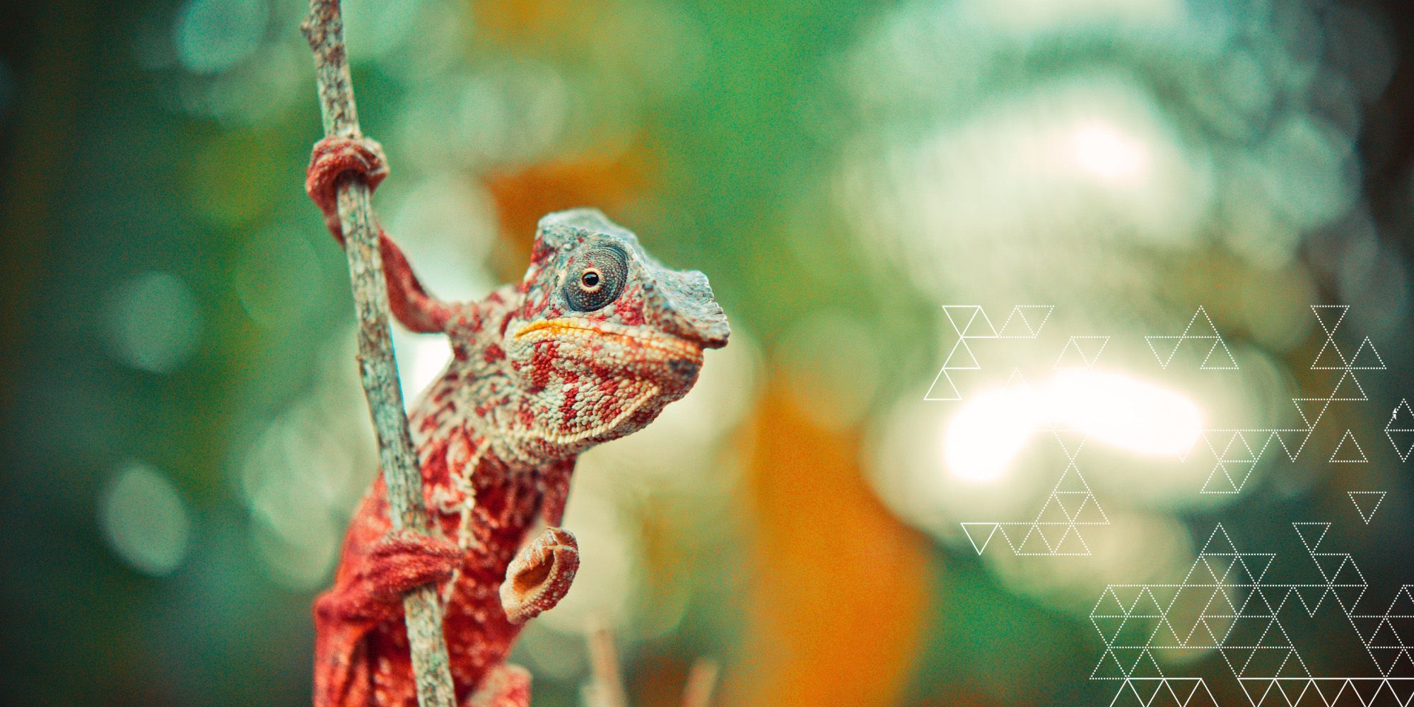 Specialist Communities focused on Outcomes