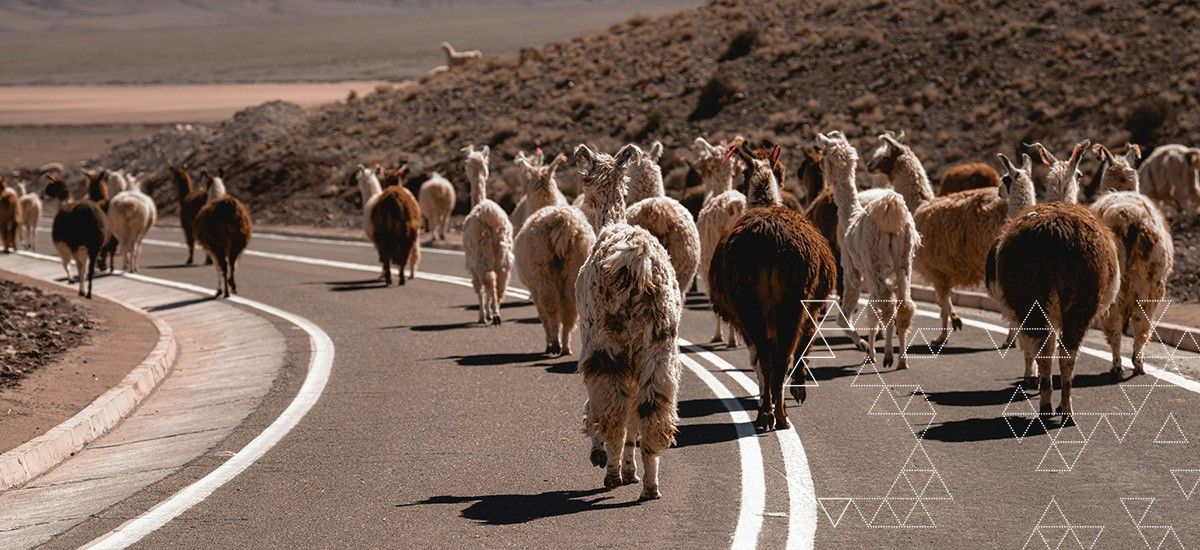 Main Taxes Central & South America