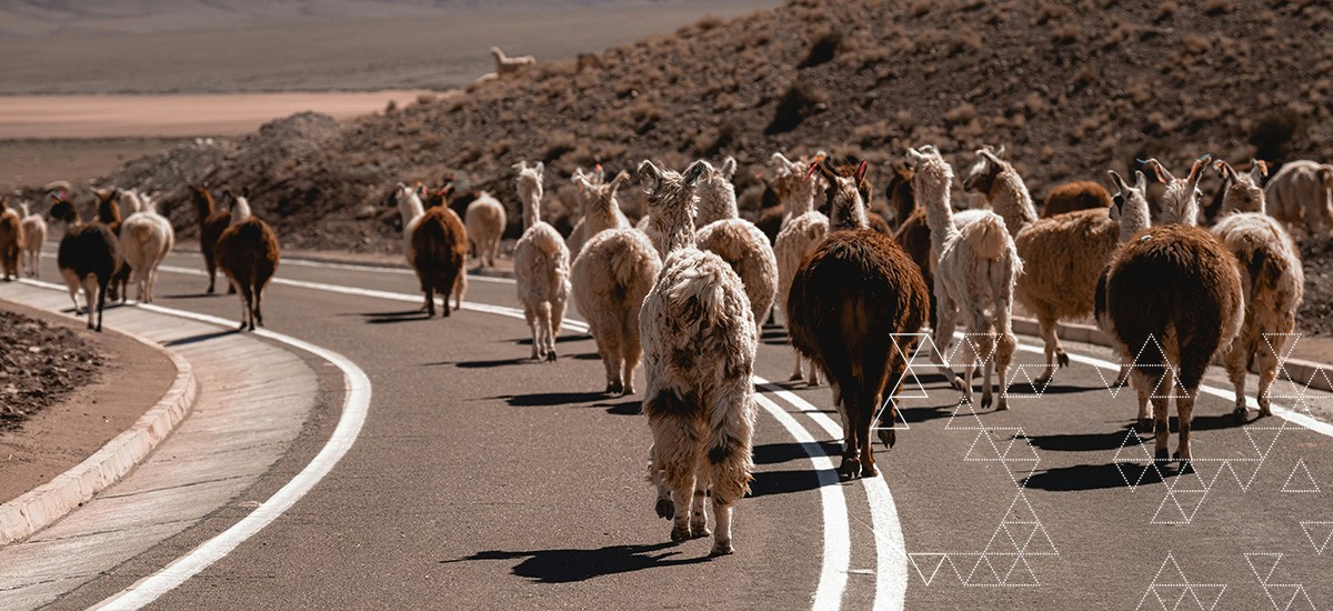 Main Taxes Central & South America