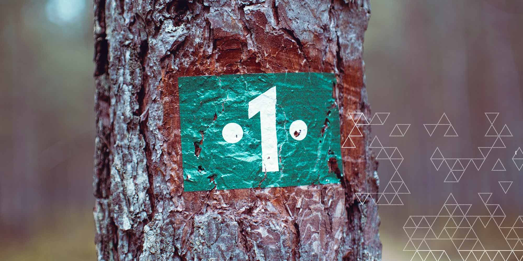 chartered accountant