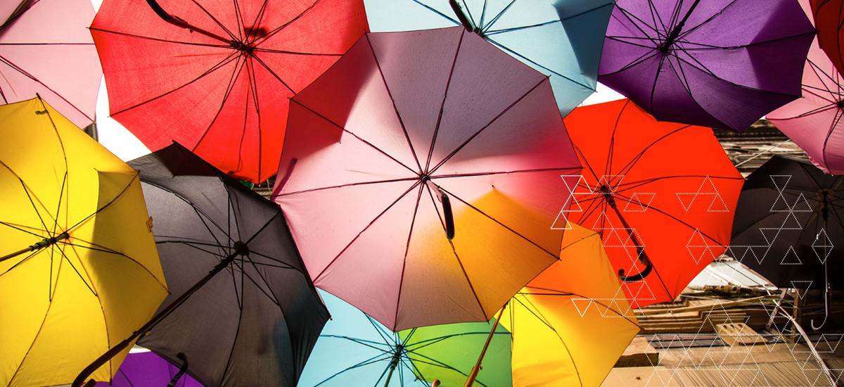 Inclusion & Diversity