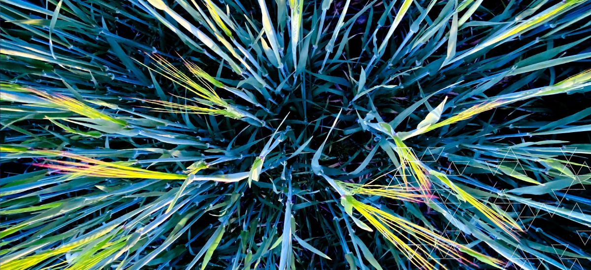 Funding Future Investment